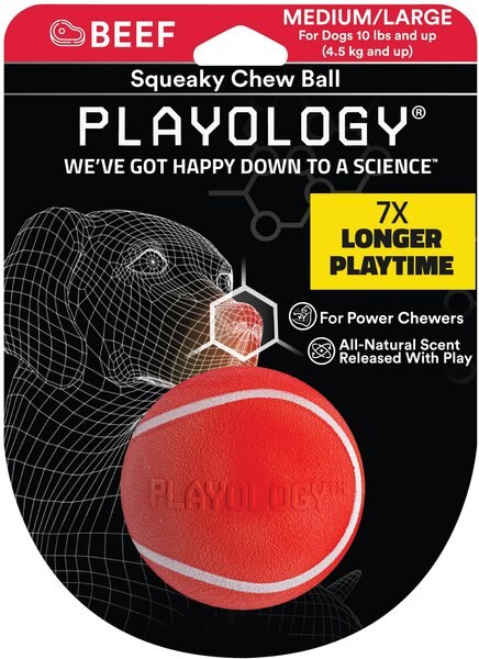Playology Beef Scented Squeaky Chew Cone Dog Toy