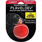 Playology Scented Squeaky Chew Ball Dog Toy, Medium/Large, Beef Scented