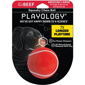Playology Scented Squeaky Chew Ball Dog Toy, Medium/Large, Beef Scented