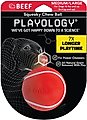 Playology Scented Squeaky Chew Ball Dog Toy, Medium/Large, Beef Scented
