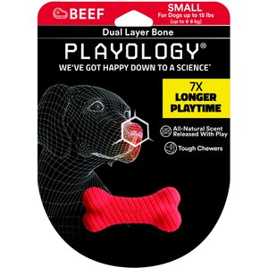 Playology Scented Dual Layer Bone Dog Toy, Small, Beef Scented