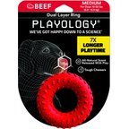 Playology Scented Dual Layer Ring Dog Toy, Medium, Beef Scented