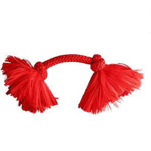 Playology Scented Dri-Tech Rope Dog Toy, Small, Beef Scented