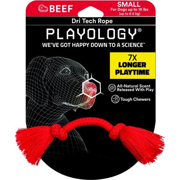 JOLLY PETS Jolly Bone Dog Toy, Orange, 9in