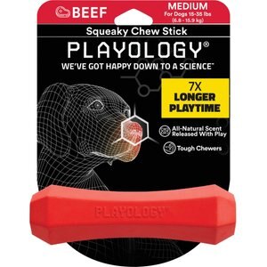 Playology Scented Squeaky Chew Stick Dog Toy, Medium, Beef Scented