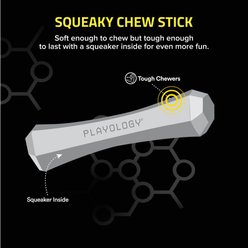 Playology Scented Squeaky Chew Stick Dog Toy, Medium, Chicken Scented slide 2 of 7