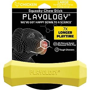 Playology Scented Squeaky Chew Stick Dog Toy, Large, Chicken Scented