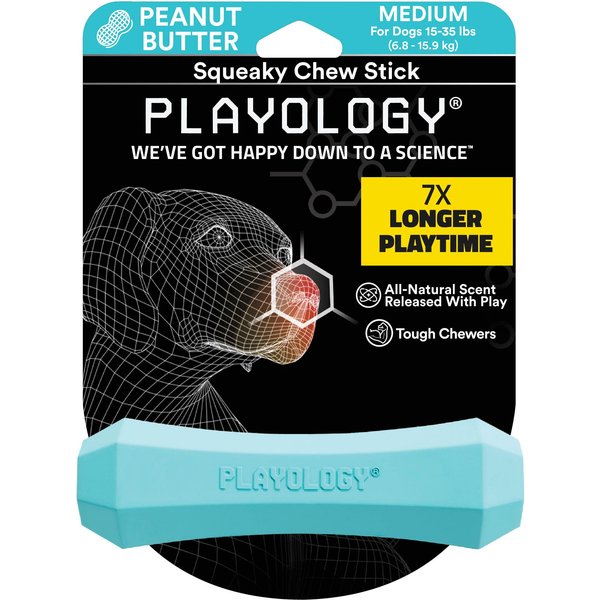 Playology Butternut Squash Scented Squeaky Chew Stick Dog Toy