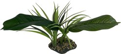 Komodo Woodland Canopy Terrarium Plant slide 2 of 4