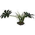 Komodo Jungle Canopy Terrarium Plant