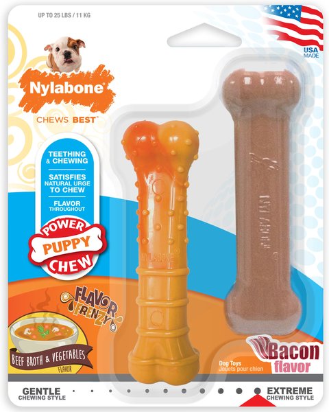 Nylabone Puppy Power Tough Puppy Chew, Toys Twin Pack Variety, Small/Regular, 2 Count slide 1 of 11