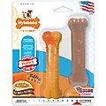 Nylabone Puppy Power Tough Puppy Chew, Toys Twin Pack Variety, Small/Regular, 2 Count