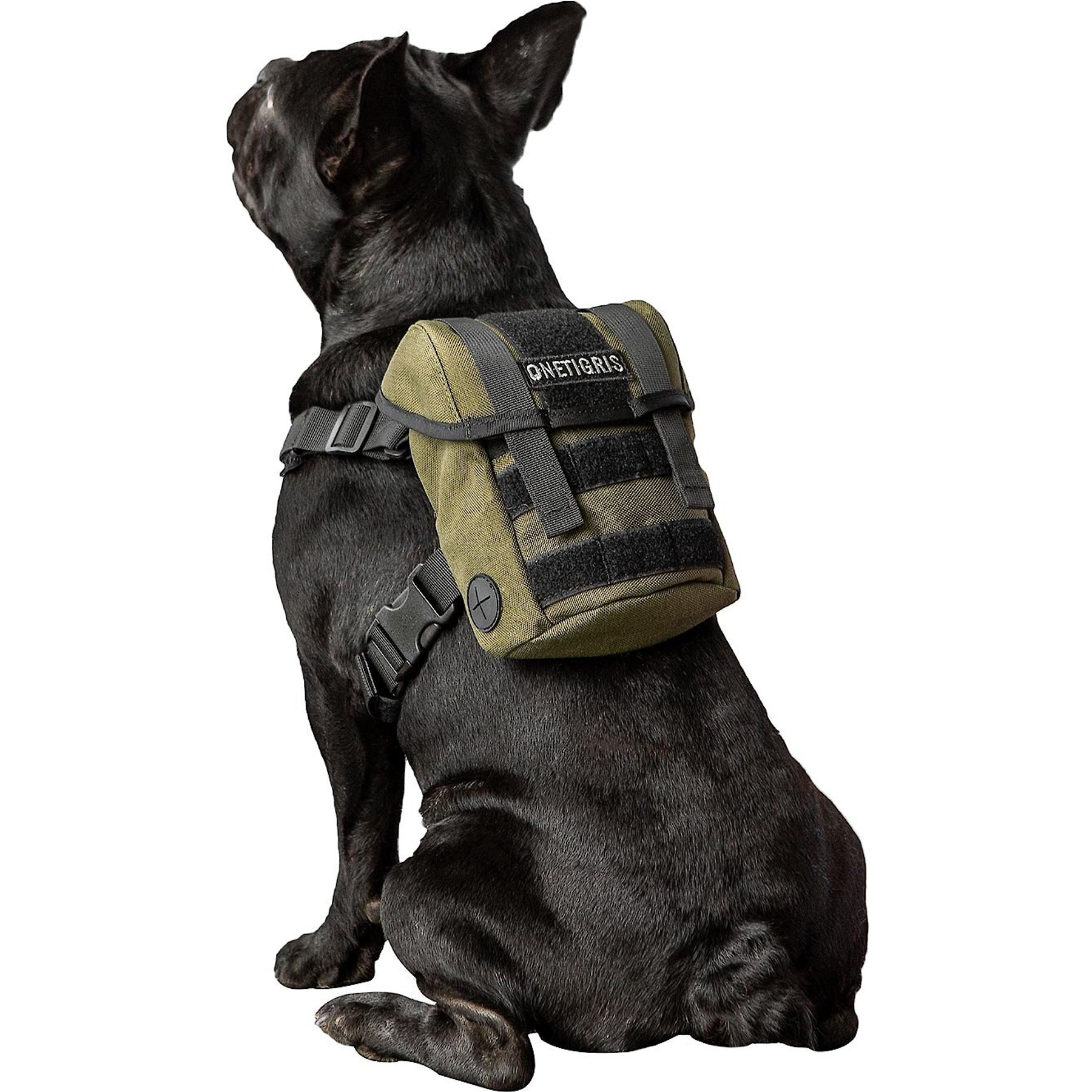Poochi Monogram Dog Backpack  Frenchie Accessory for Outings