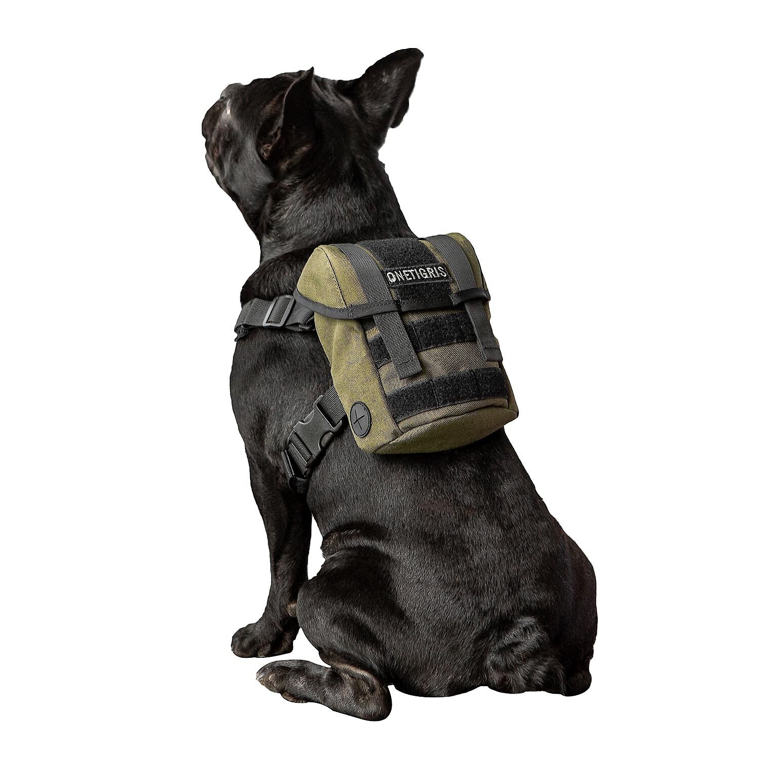 Eureka K9 Dog Backpack Customer Questions