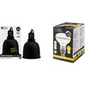 Reptile Systems 80 Watt D3 Basking Lamp & Black Clamp Lamp Intermediate Bearded Dragon Kit