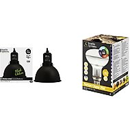 Reptile Systems 70 Watt D3 Basking Lamp & Black Clamp Lamp Bearded Dragon Kit