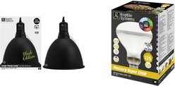 Reptile Systems 125 Watt D3 Basking Lamp & Black Clamp Lamp Intermediate Bearded Dragon Kit