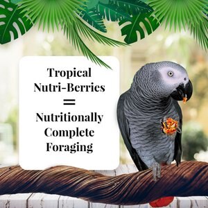Lafeber Tropical Fruit Nutri-Berries Parrot Food, 1-oz bag