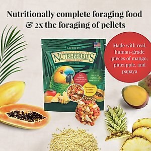 Lafeber Tropical Fruit Nutri-Berries Parrot Food, 1-oz bag
