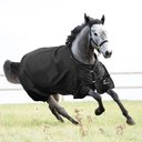 Horze Equestrian Nevada Medium Weight Turnout Horse Blanket, Black, 69-in