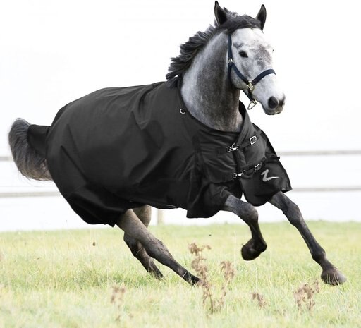 Horze Equestrian Nevada Medium Weight Turnout Horse Blanket, Black, 81-in