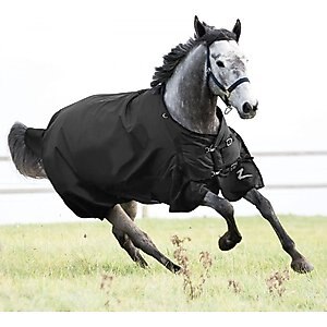 Horze Equestrian Nevada Medium Weight Turnout Horse Blanket, Black, 81-in