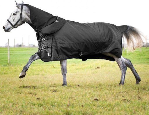 Horze Equestrian Nevada Medium Weight Turnout Horse Blanket, Black, 81-in