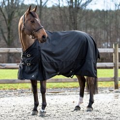 Horze Equestrian Nevada Lightweight Turnout Horse Sheet, Black, 60-in