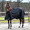 Horze Equestrian Nevada Lightweight Turnout Horse Sheet, Black, 72-in