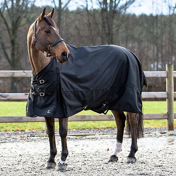 Horze Equestrian Nevada Lightweight Turnout Horse Sheet, Black, 81-in slide 1 of 7