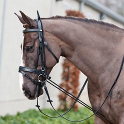 Horze Adjustable Horse Neck Stretcher, Black, Horse slide 2 of 2