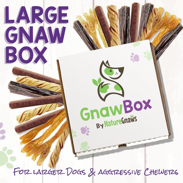 Nature Gnaws GnawBox Large Breed Grain-Free Dog Treats, 20 count slide 1 of 8