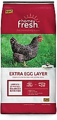 Kent Home Fresh Extra Egg Layer Crumbles Chicken Food, 50-lb bag