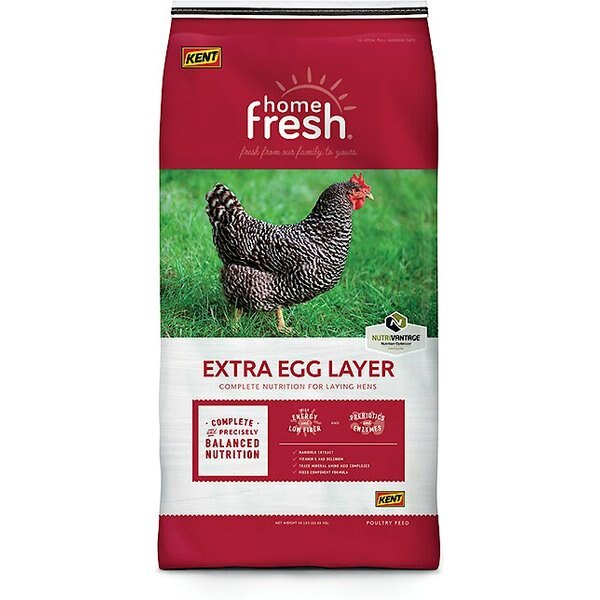 BLUE SEAL Home Fresh Extra Egg Layer 16% Protein Crumbles Chicken Feed ...