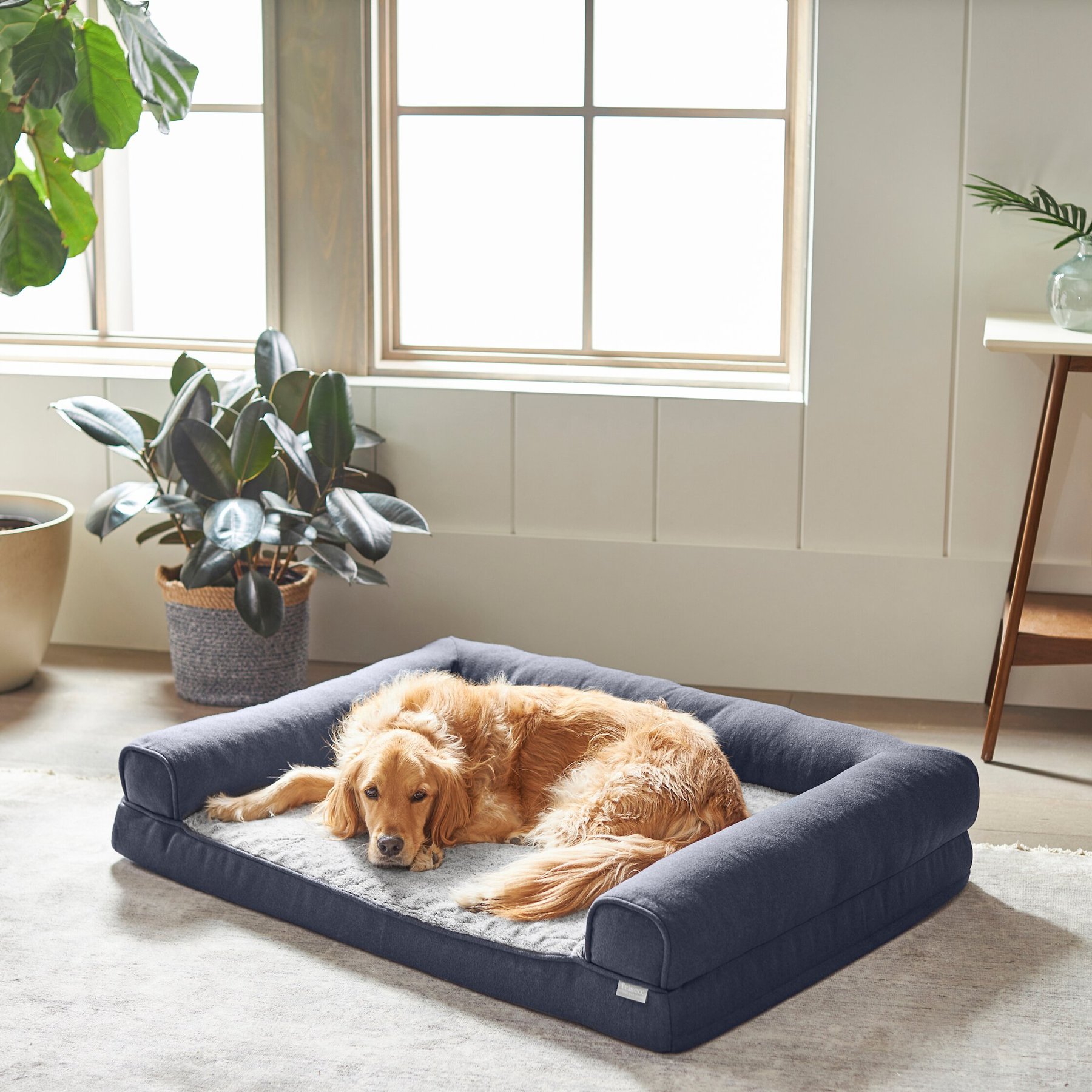 Frisco orthopedic textured plush bolster sofa dog outlet bed