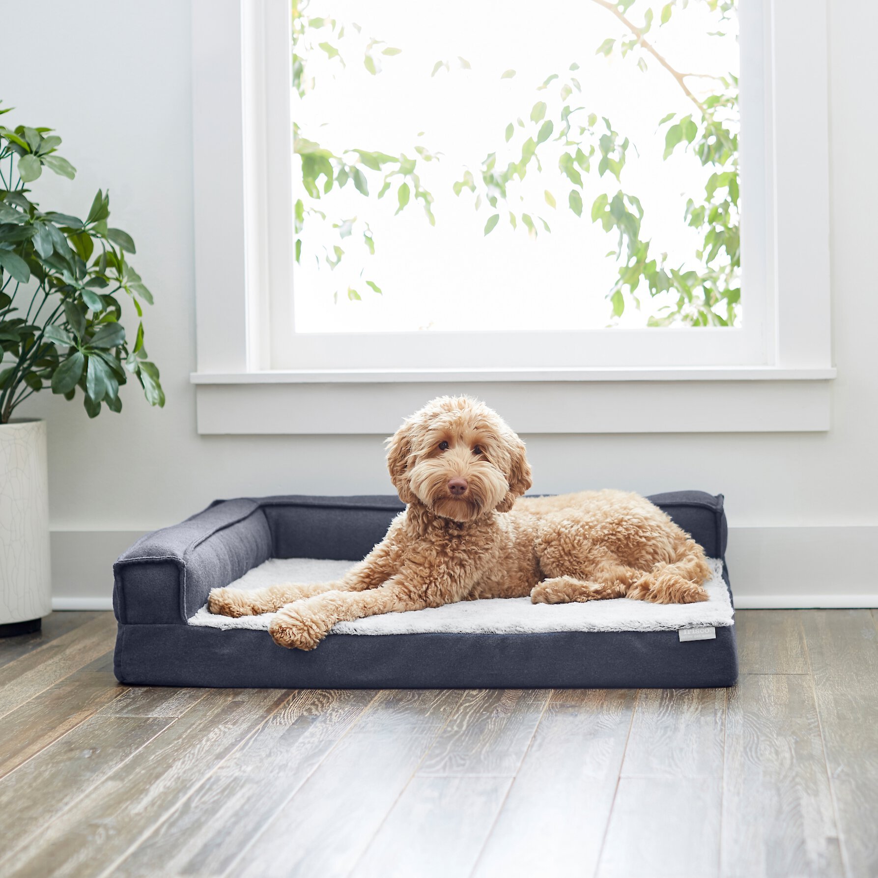 FRISCO Faux Felt Orthopedic Corner Sofa Bolster Dog Bed w/Removable