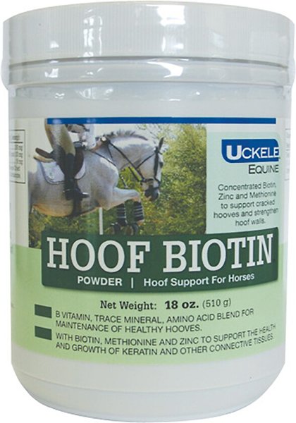 Uckele Hoof Biotin Powder Horse Supplement, 18-oz jar slide 1 of 2