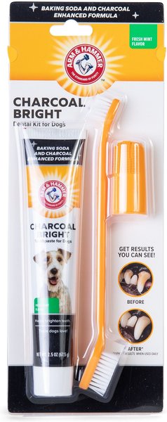 Arm & Hammer Plaque Removal Fresh Mint Flavored Charcoal Dog Dental Kit, 2.5-oz bottle slide 1 of 5