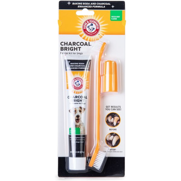 Arm & Hammer EZ Clean 360 Degree Dental Tool with Toothpaste - Small