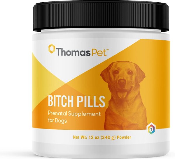 Dog birth control fashion pills