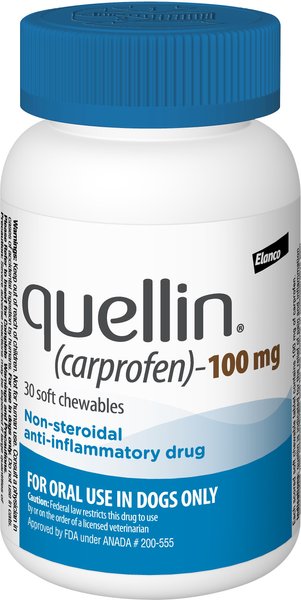Quellin (Carprofen) Chew for Dogs, 100-mg, Bottle of 30 Chews slide 1 of 5