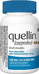 Quellin (Carprofen) Chew for Dogs, 100-mg, 30 soft chews slide 2 of 4