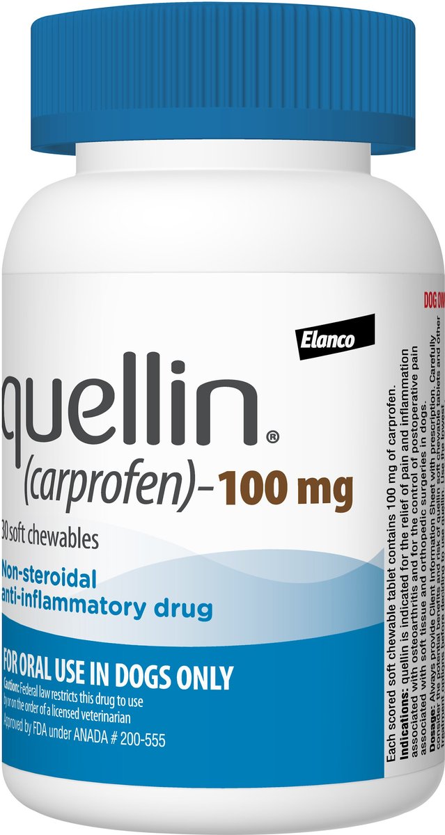 Quellin dog pain store meds