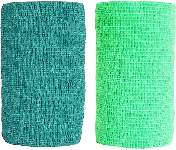 Andover Healthcare CoFlex Vet Horse, Dog & Cat Bandage, Teal, 4-in & Andover Healthcare CoFlex Vet Horse, Dog & Cat Bandage, Neon Green, 4-in slide 1 of 1
