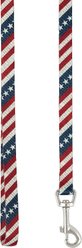 Frisco American Flag Dog Leash, Small: 6-ft long, 5/8-in wide & Frisco American Flag Dog Collar, Small: 10 to 14-in neck, 5/8-in wide slide 2 of 5
