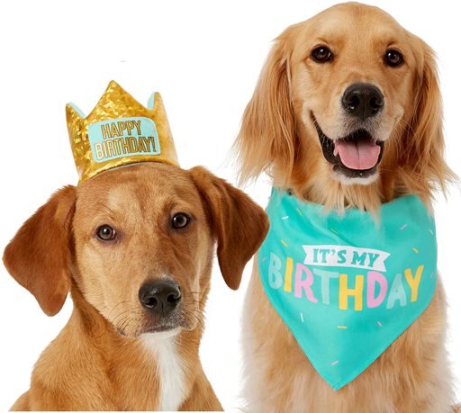 Frisco Happy Birthday Dog & Cat Crown, X-Small/Small & Frisco Dog & Cat Birthday Bandana, One Size