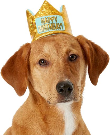 Frisco Happy Birthday Dog & Cat Crown, X-Small/Small & Frisco Dog & Cat Birthday Bandana, One Size