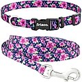 Frisco Midnight Floral Dog Leash, Large: 4-ft long, 1-in wide & Frisco Midnight Floral Dog Collar, Large: 18 to 26-in neck, 1-in wide