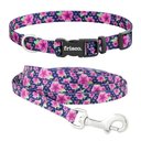 Frisco Midnight Floral Dog Leash, Large: 6-ft long, 1-in wide & Frisco Midnight Floral Dog Collar, Large: 18 to 26-in neck, 1-in wide