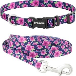 Frisco Midnight Floral Dog Leash,  X-Small: 6-ft long, 3/8-in wide & Frisco Midnight Floral Dog Collar, X-Small: 8 to 12-in neck, 3/8-in wide